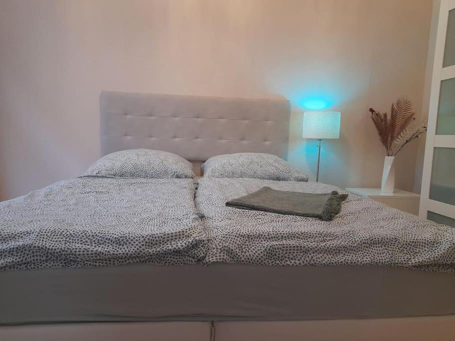 Zwei-Zimmer Wohnung In Wiesbadens Westend Luaran gambar